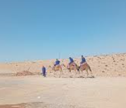 Photo de Rachid T